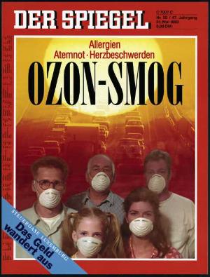 DER SPIEGEL Nr. 22 / 1993, 31.05.1993 bis 06.06.1993