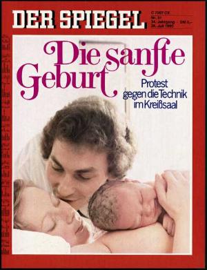 DER SPIEGEL Nr. 31 / 1980, 28.07.1980 bis 03.08.1980